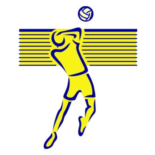 Volleyball 1232