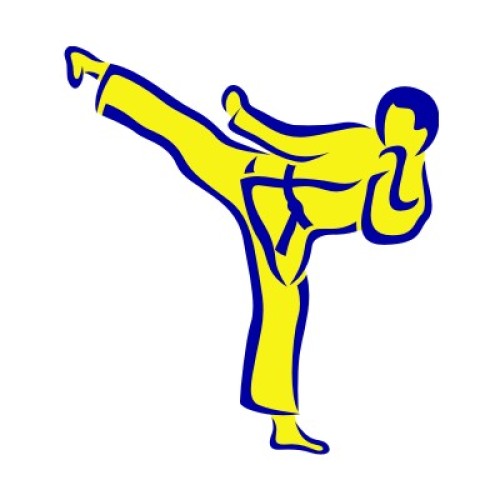 Taekwondo 1293