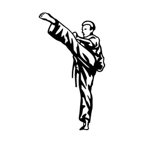 Teakwondo 2293